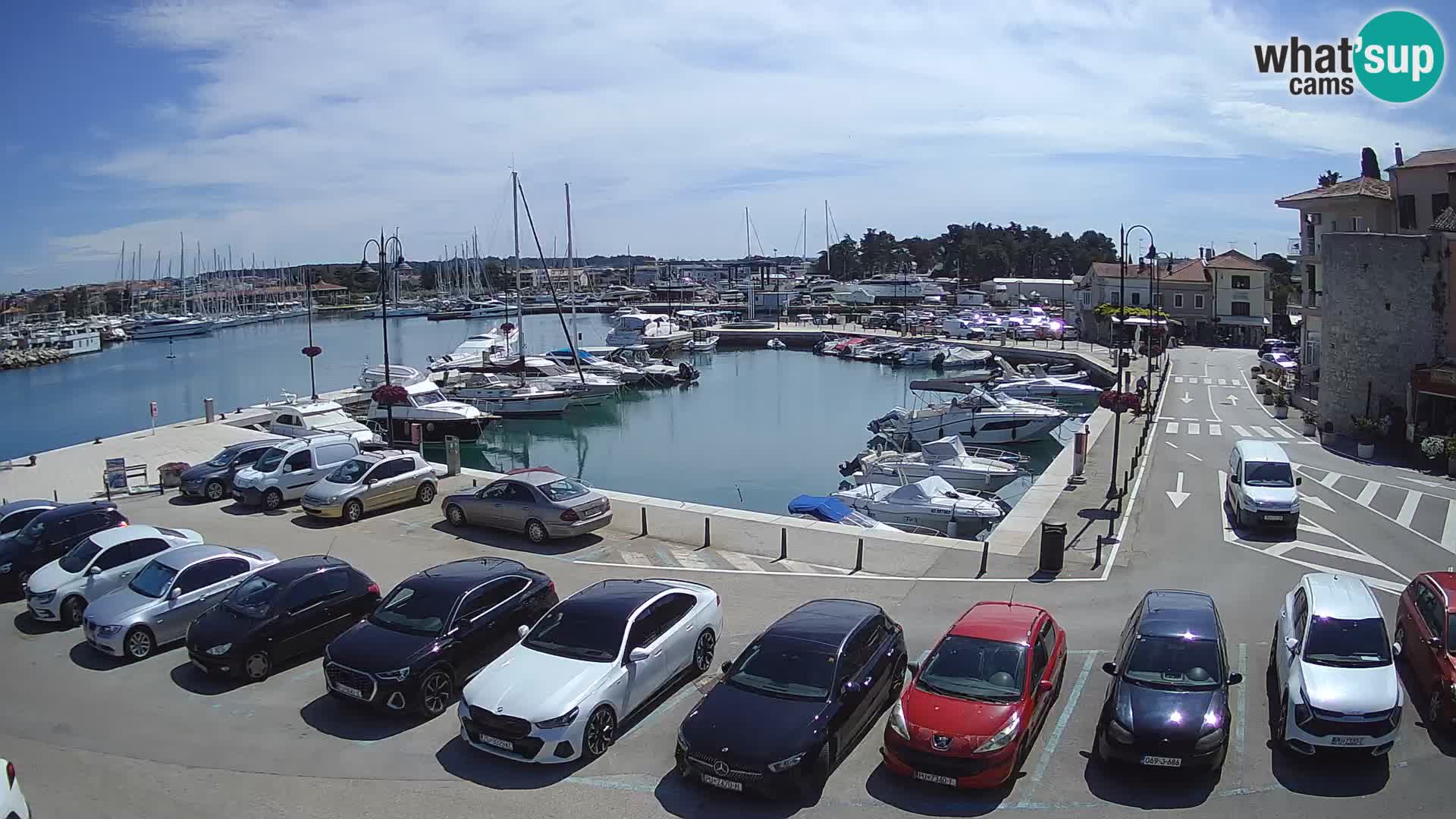 Novigrad | Porporela marina