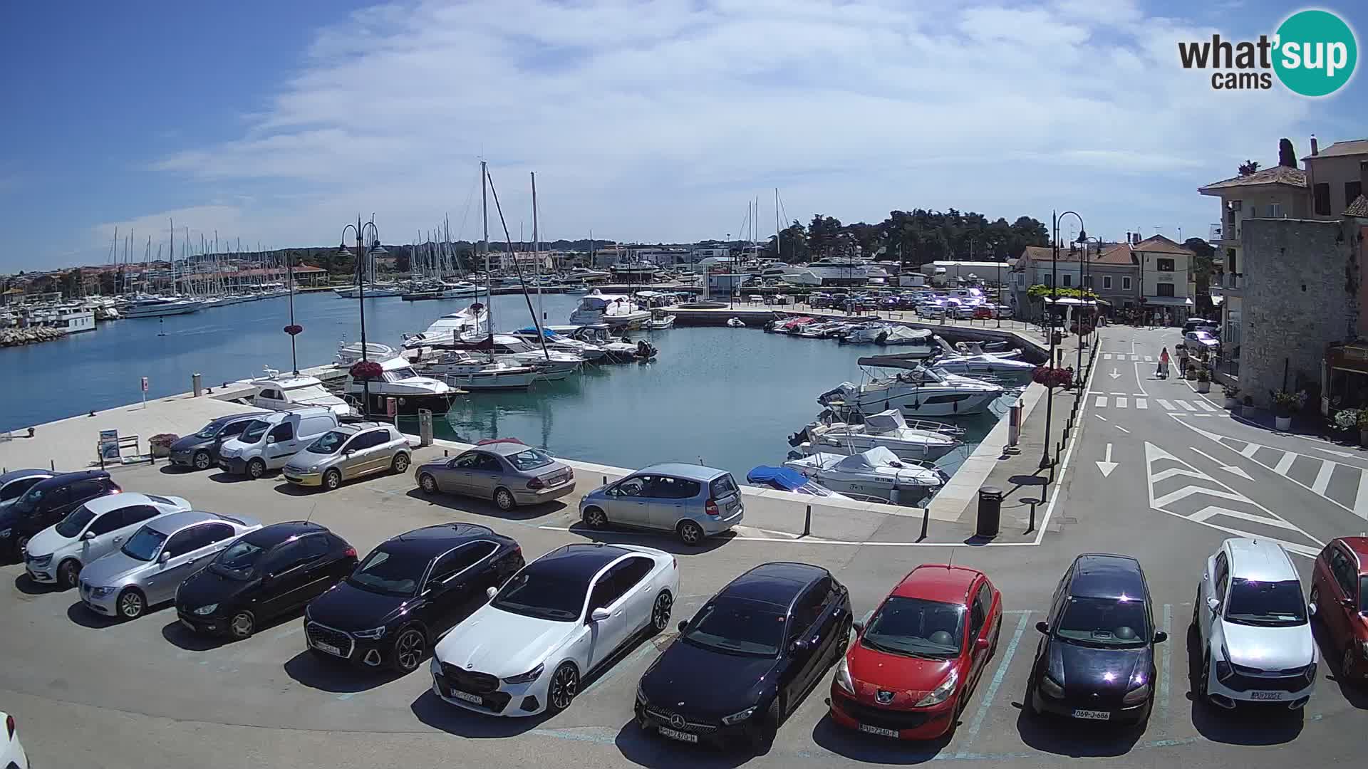 Novigrad | Porporela marina