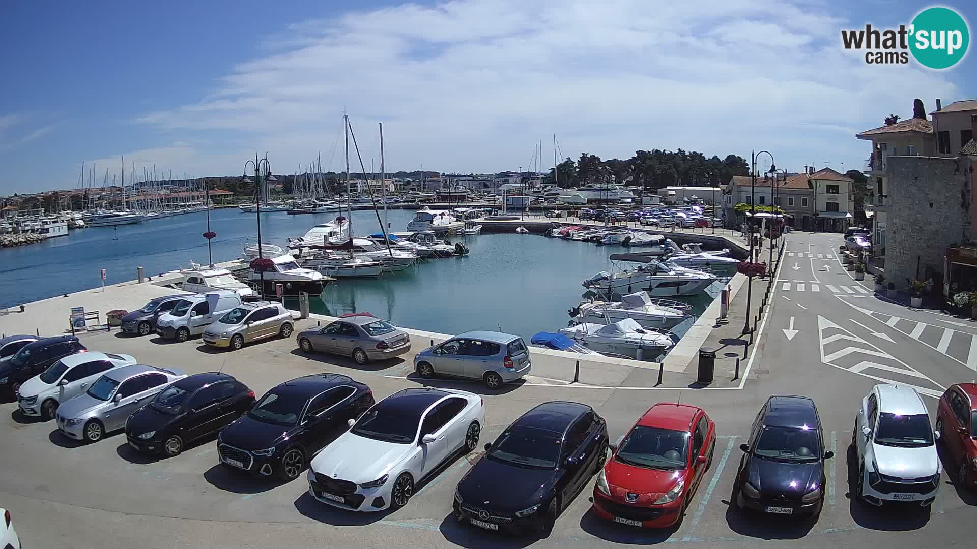 Novigrad | Porporela marina
