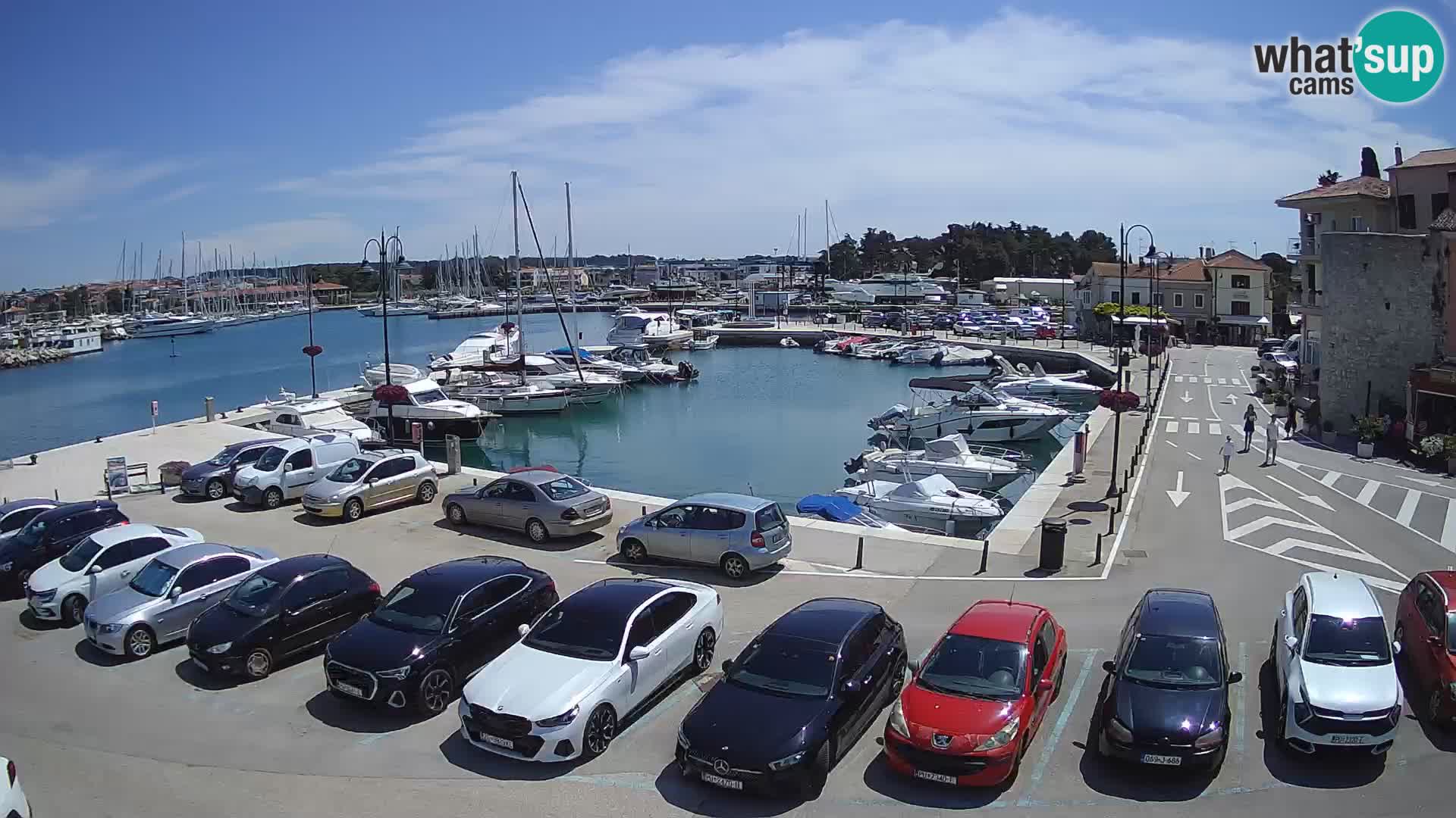 Novigrad | Porporela marina