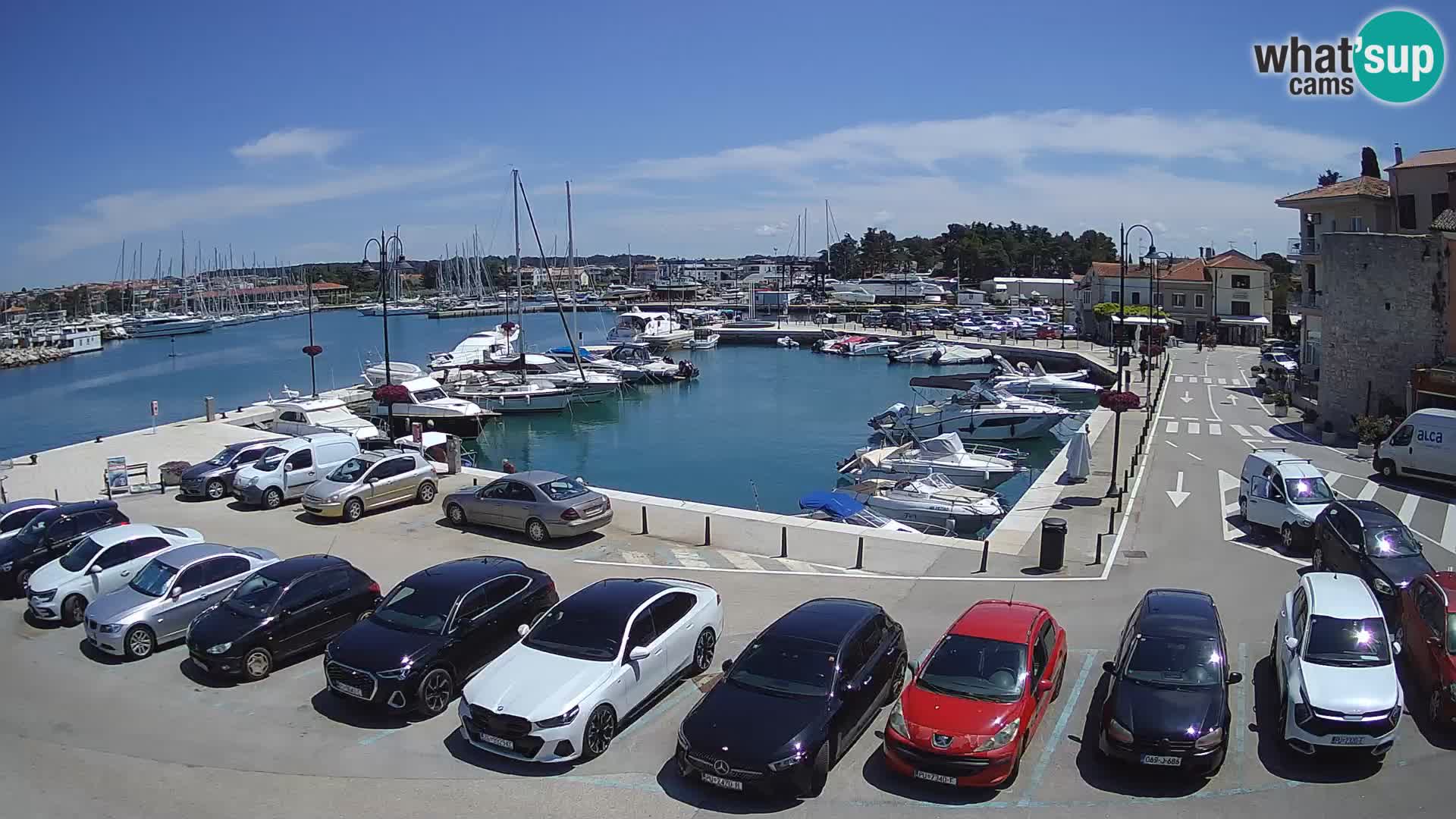 Novigrad | Porporela marina