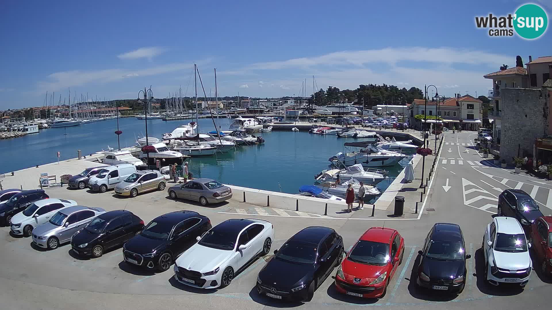 Novigrad | Porporela marina