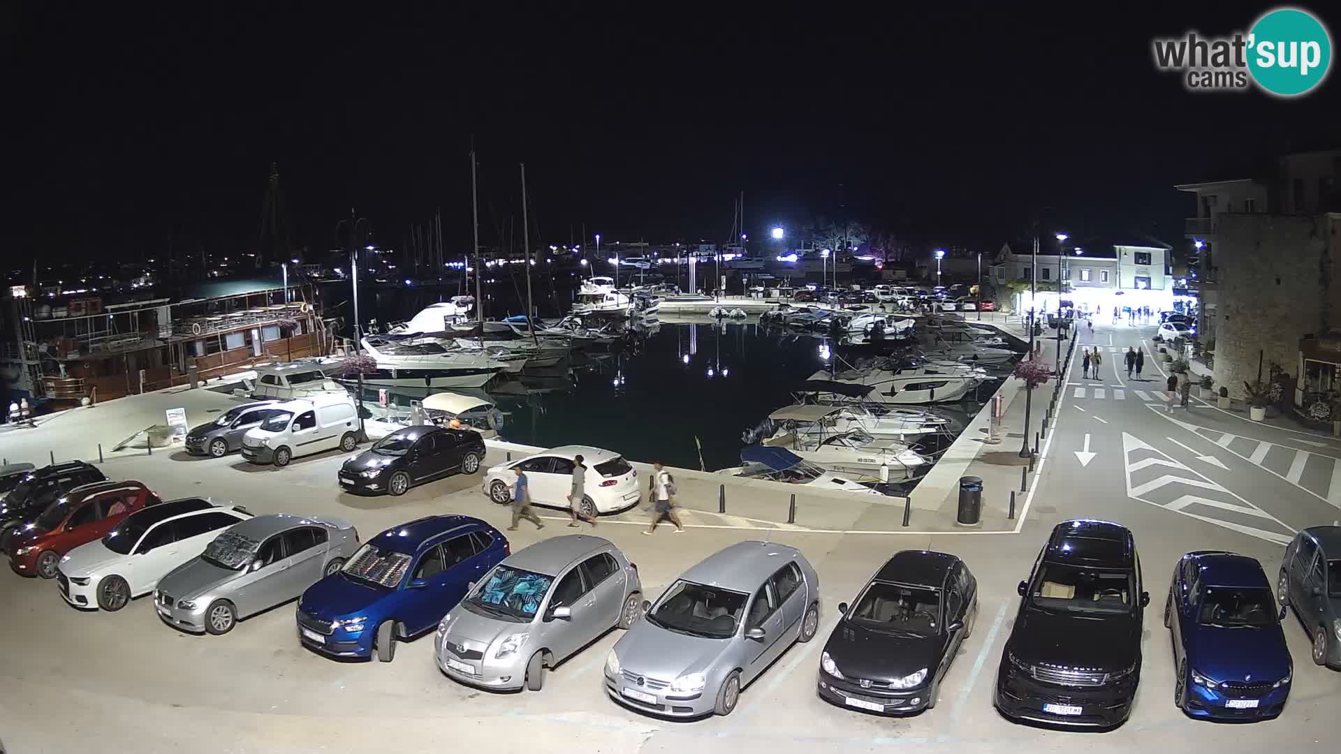 Novigrad | Porporela marina