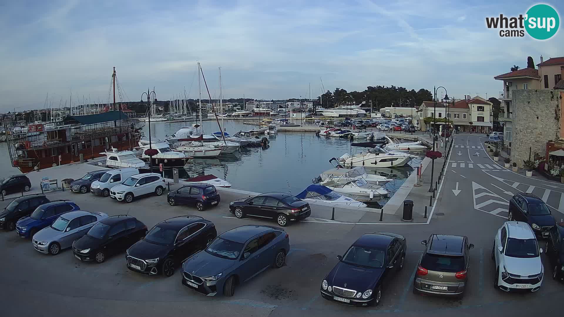Novigrad | Porporela marina