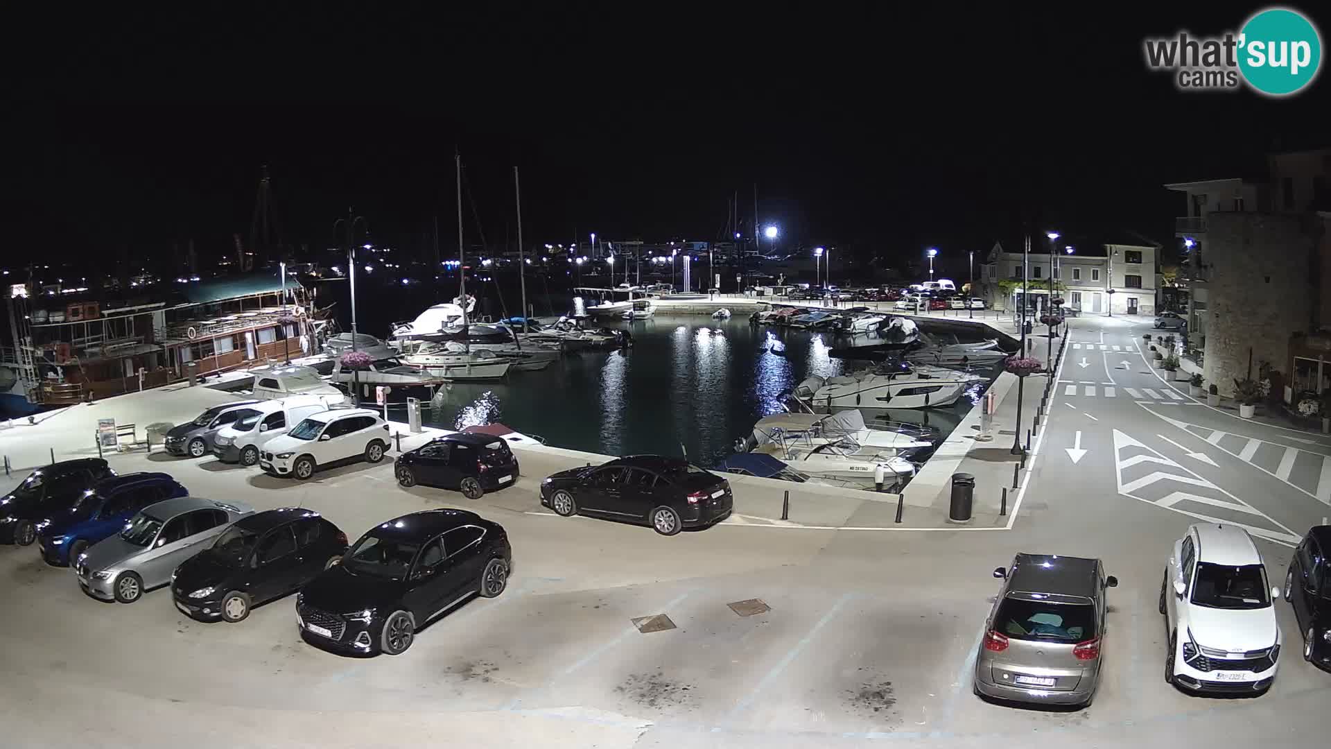 Novigrad | Porporela marina