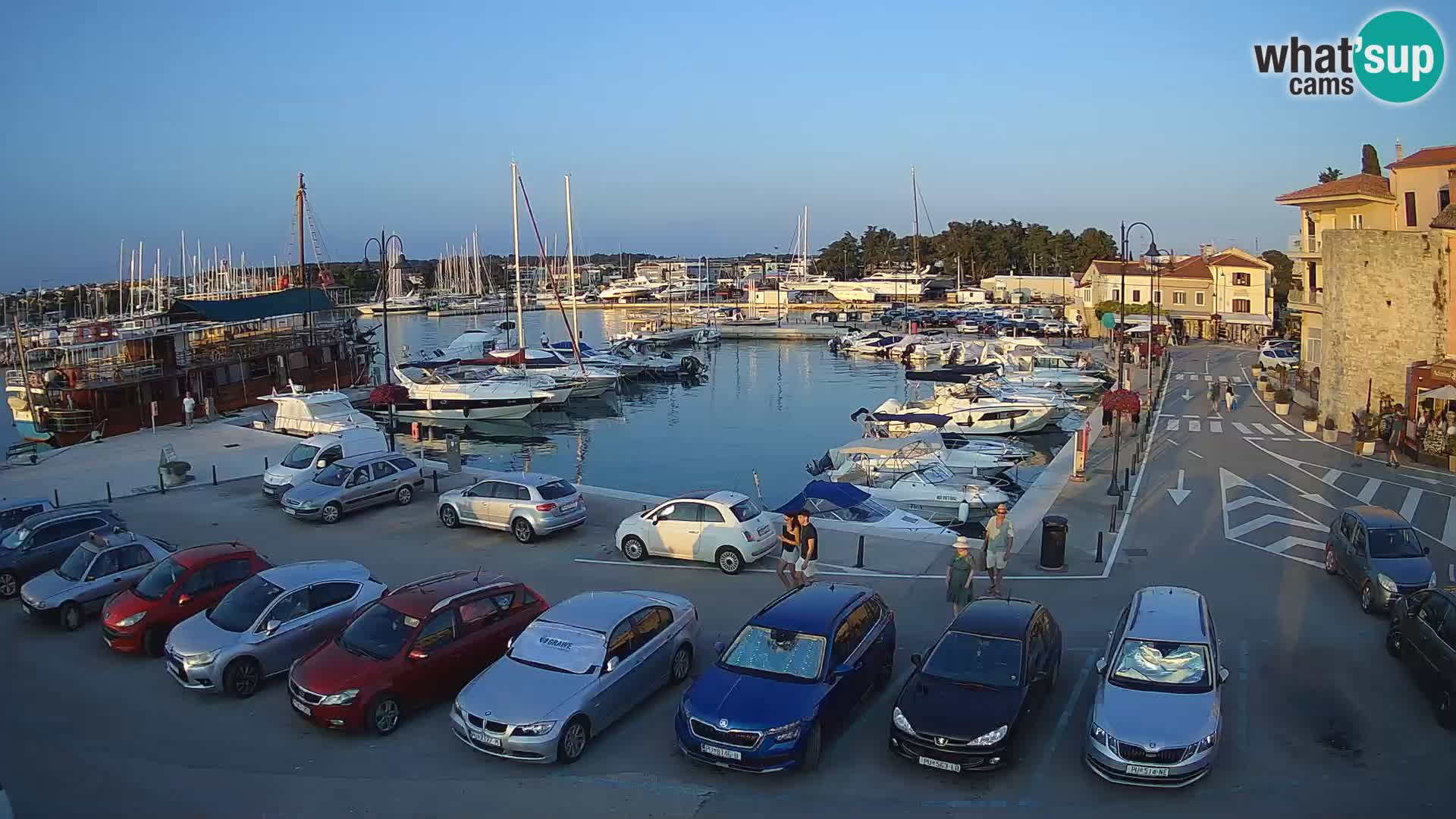 Novigrad | Porporela marina