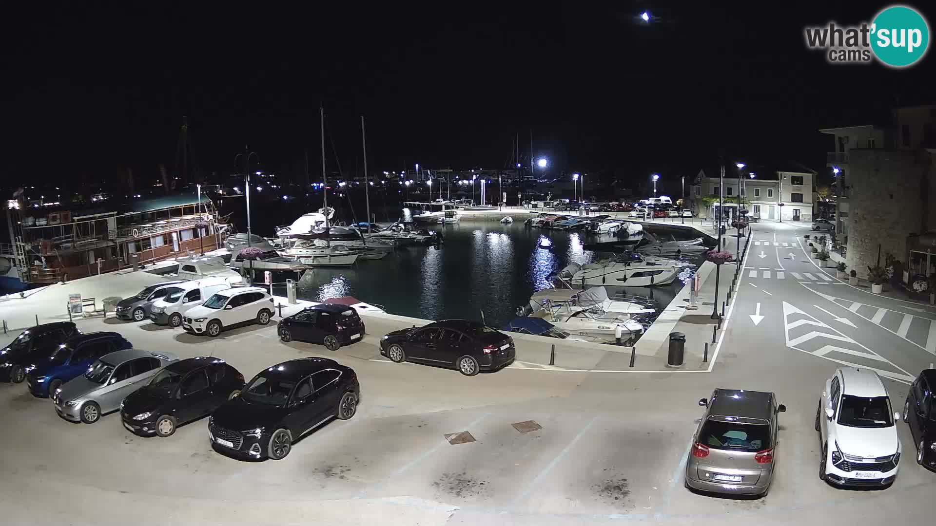 Novigrad | Porporela marina