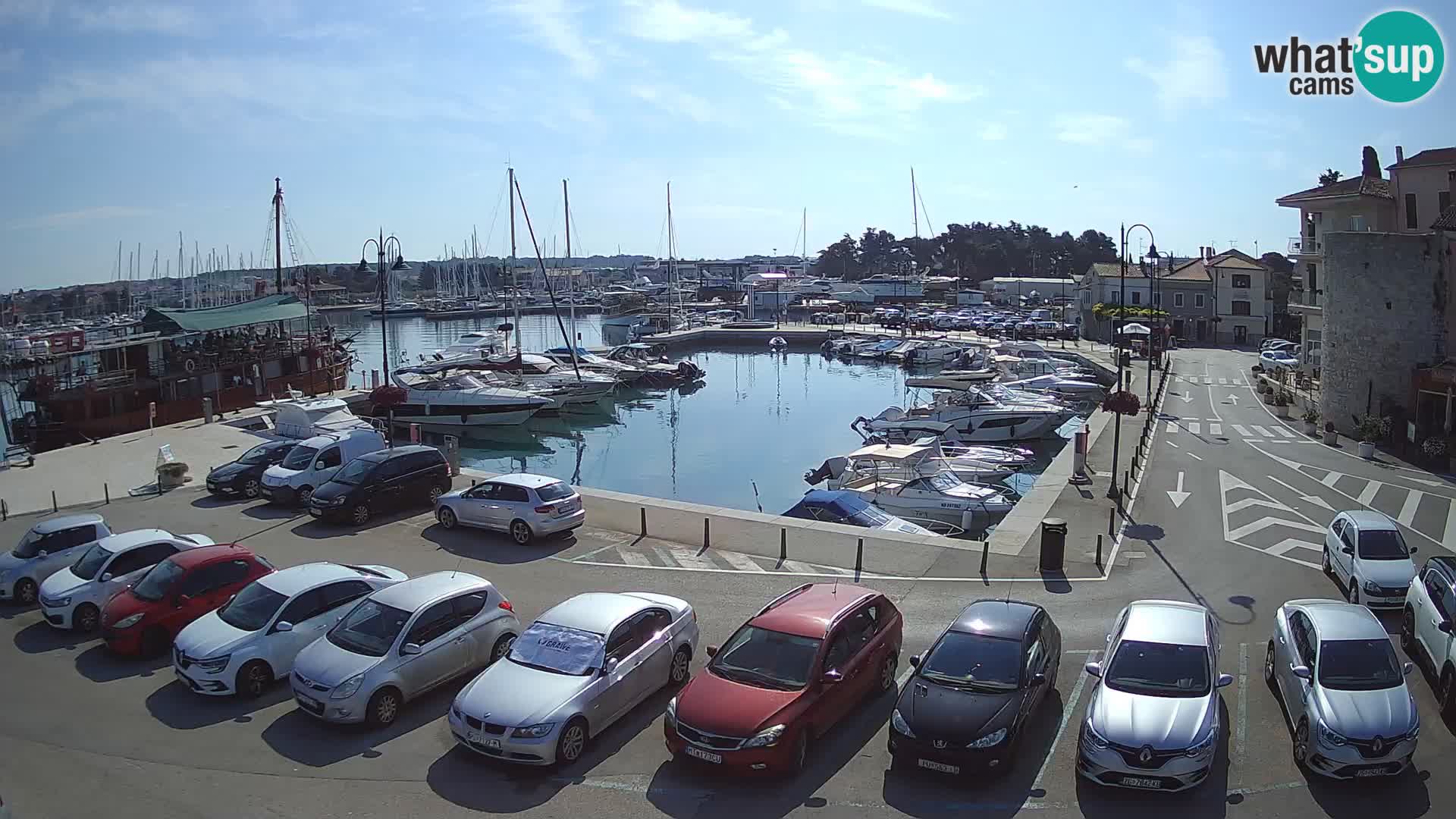 Novigrad | Porporela marina