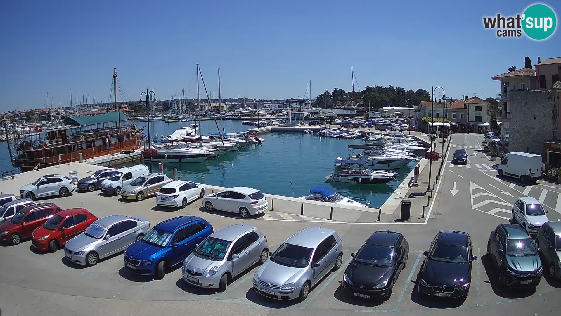 Novigrad | Porporela marina