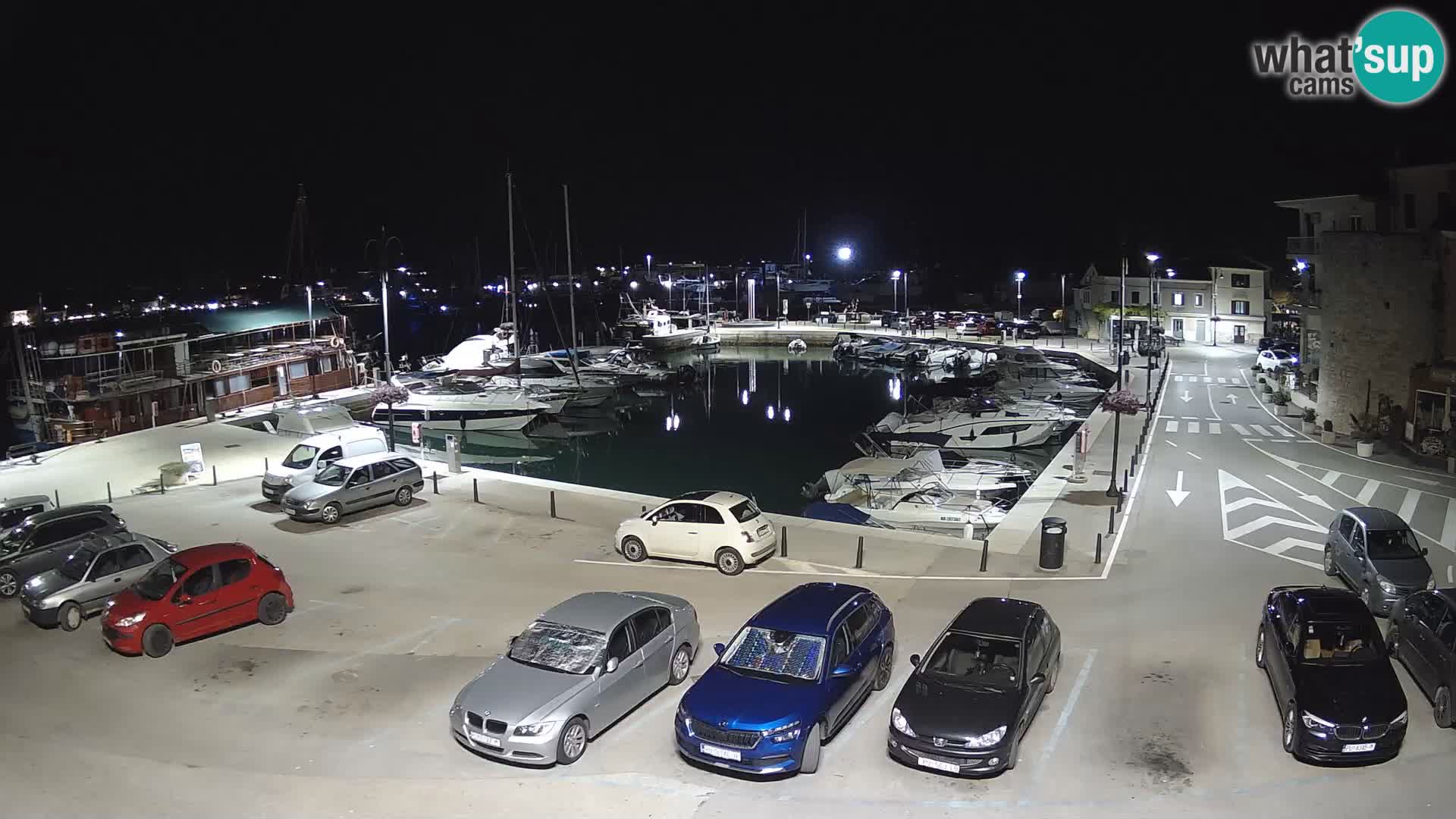 Novigrad | Porporela marina