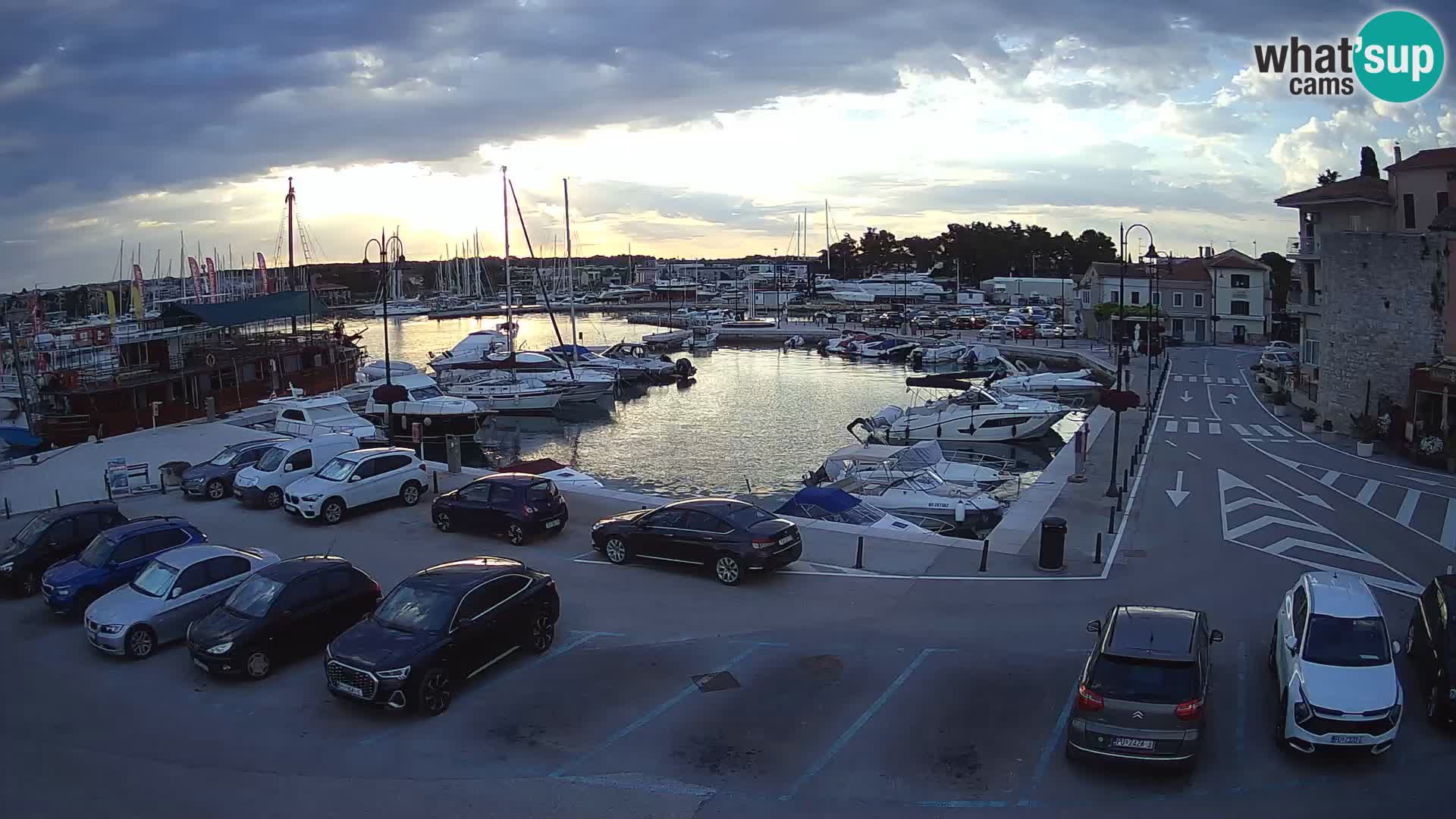 Novigrad | Porporela marina