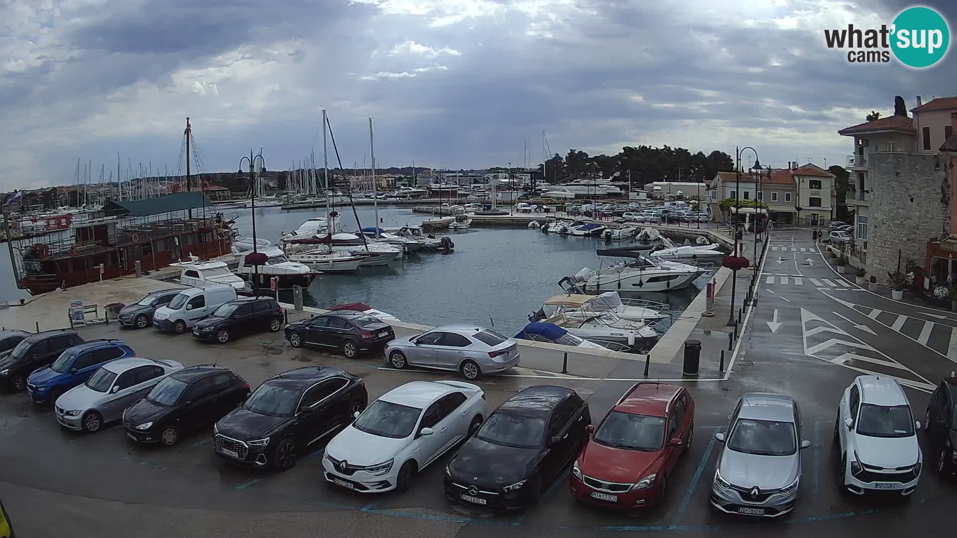 Novigrad | Porporela marina