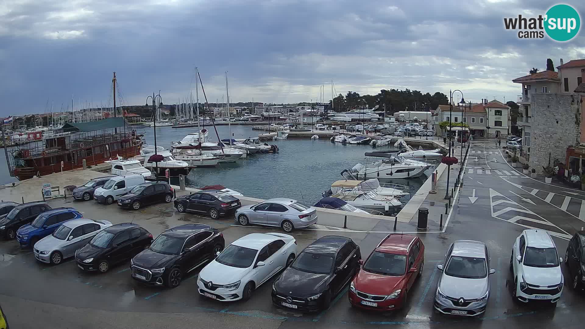 Novigrad | Porporela marina