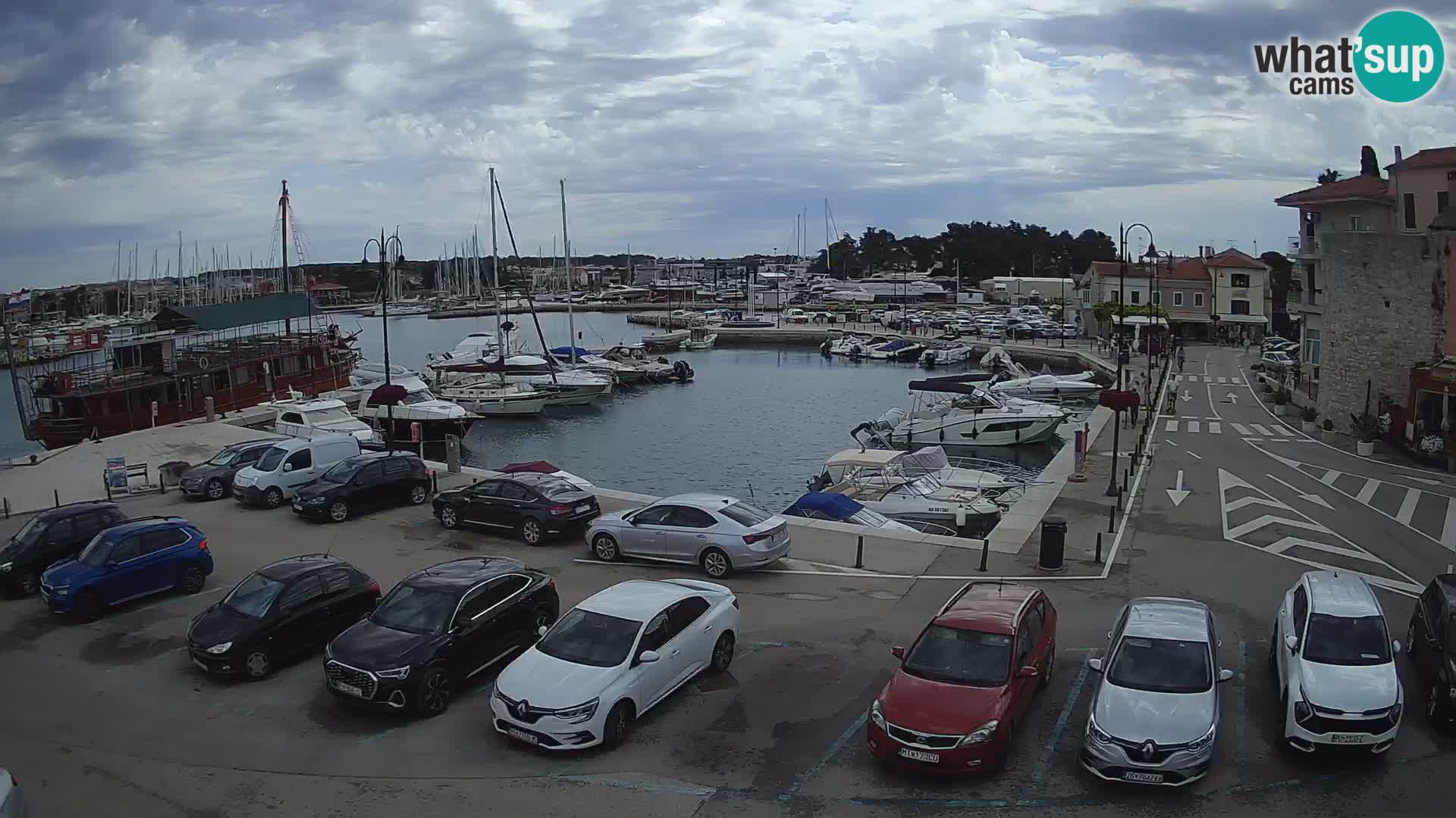 Novigrad | Porporela marina