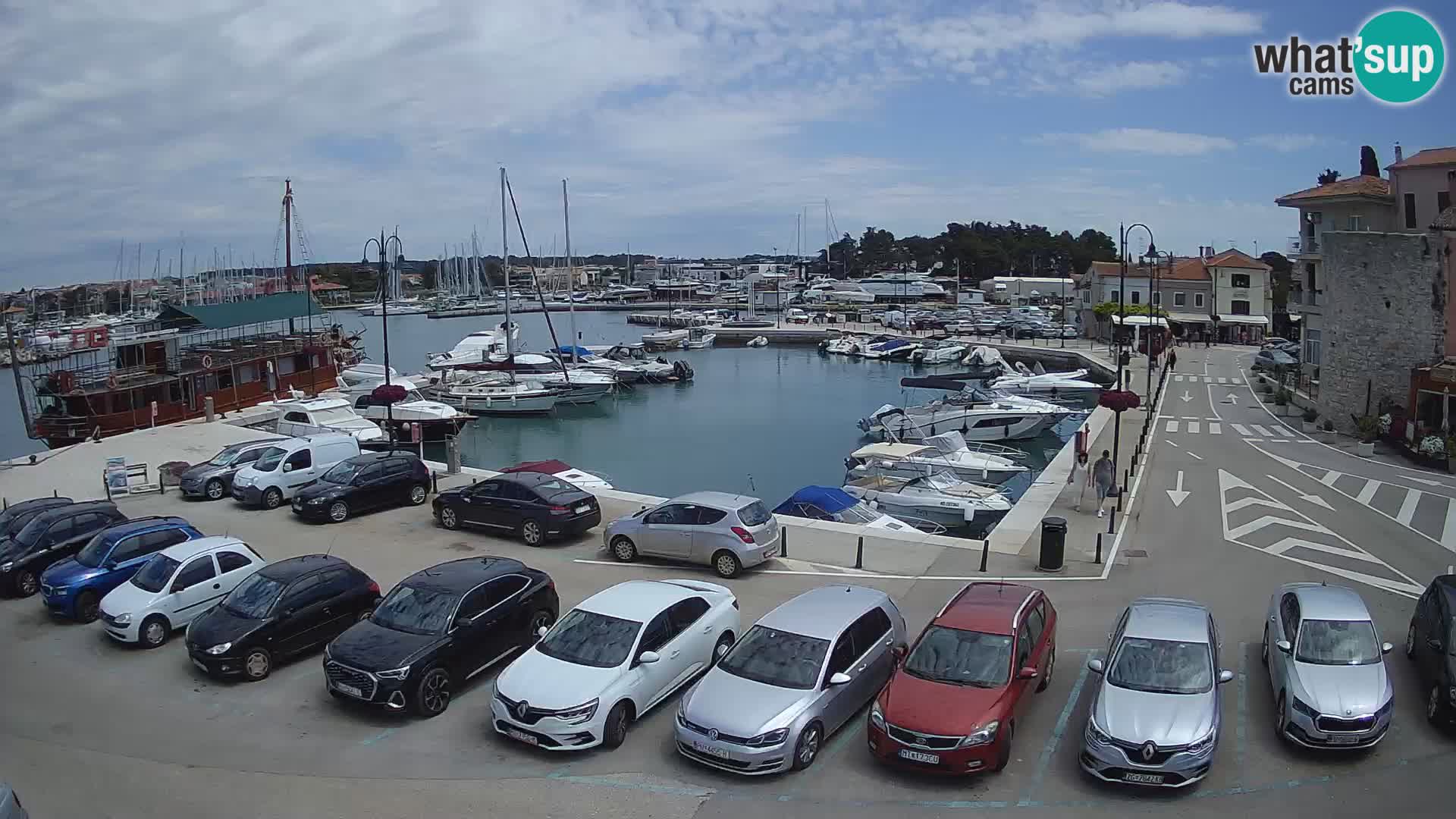 Novigrad | Porporela marina