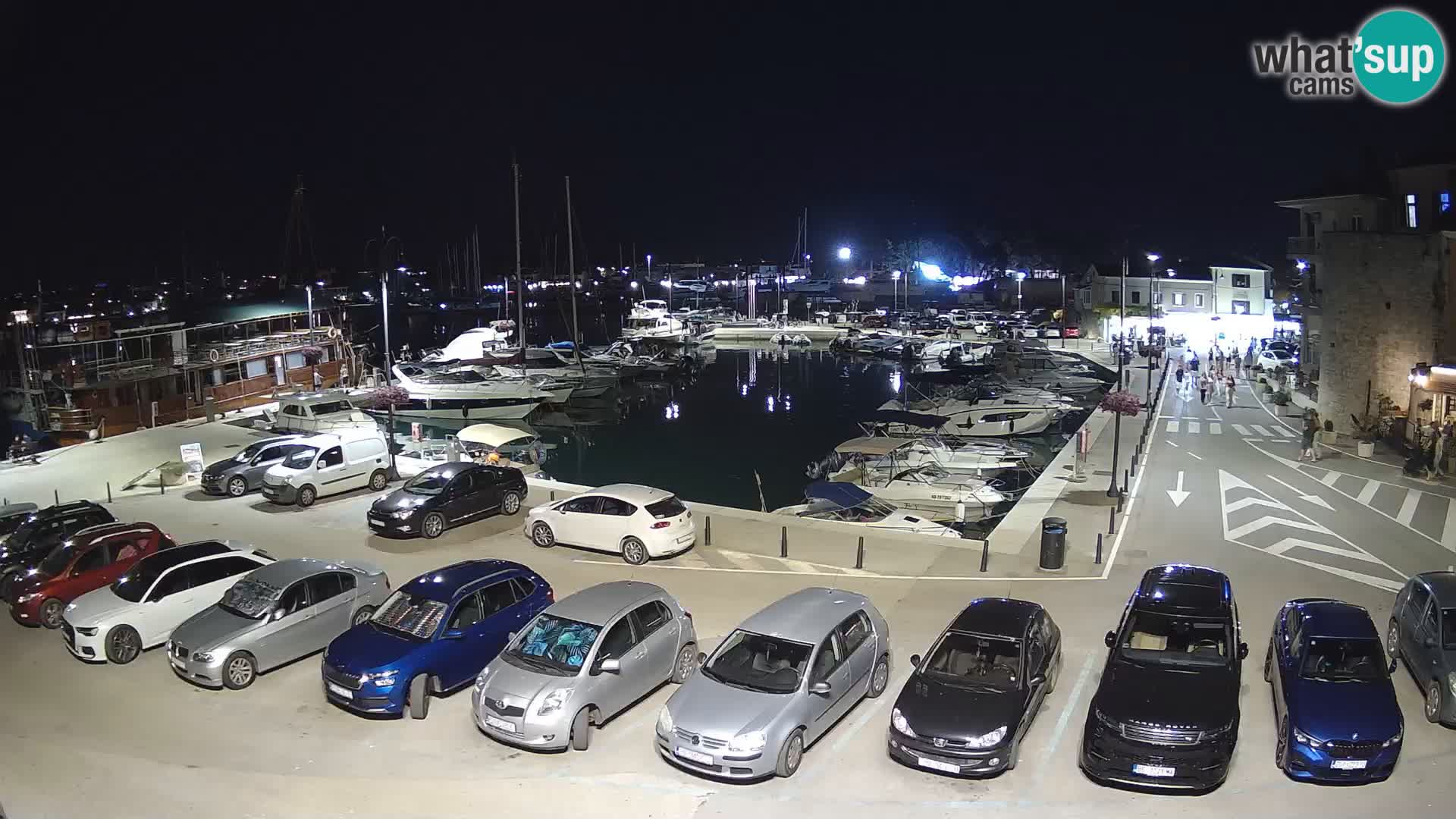 Novigrad | Porporela marina