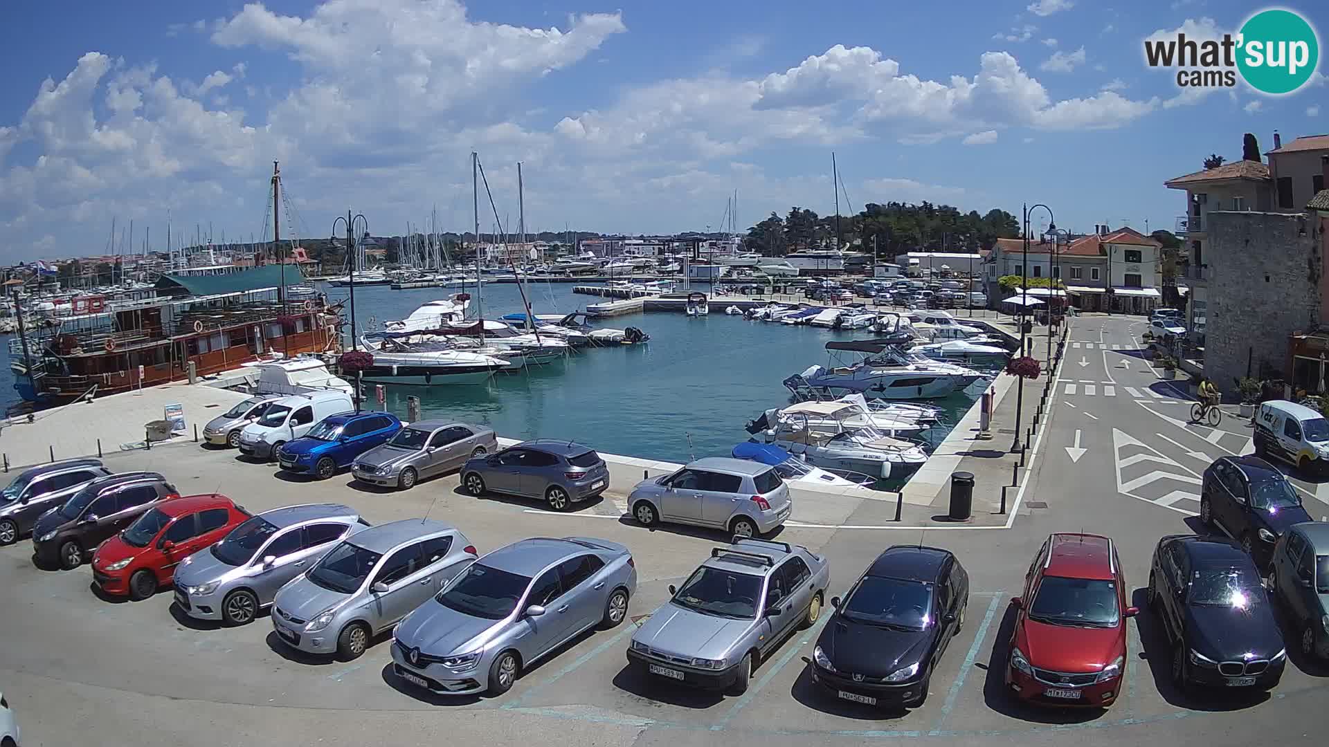 Novigrad | Porporela marina