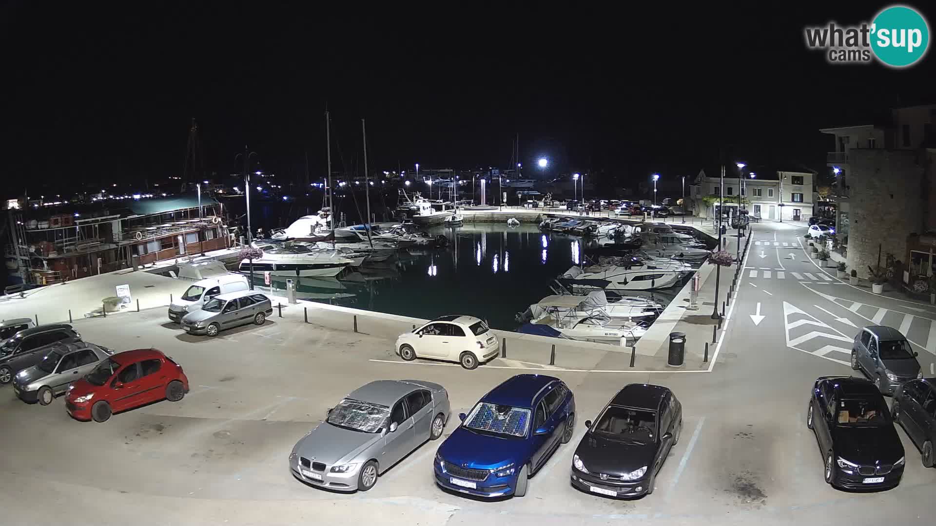 Novigrad | Porporela marina