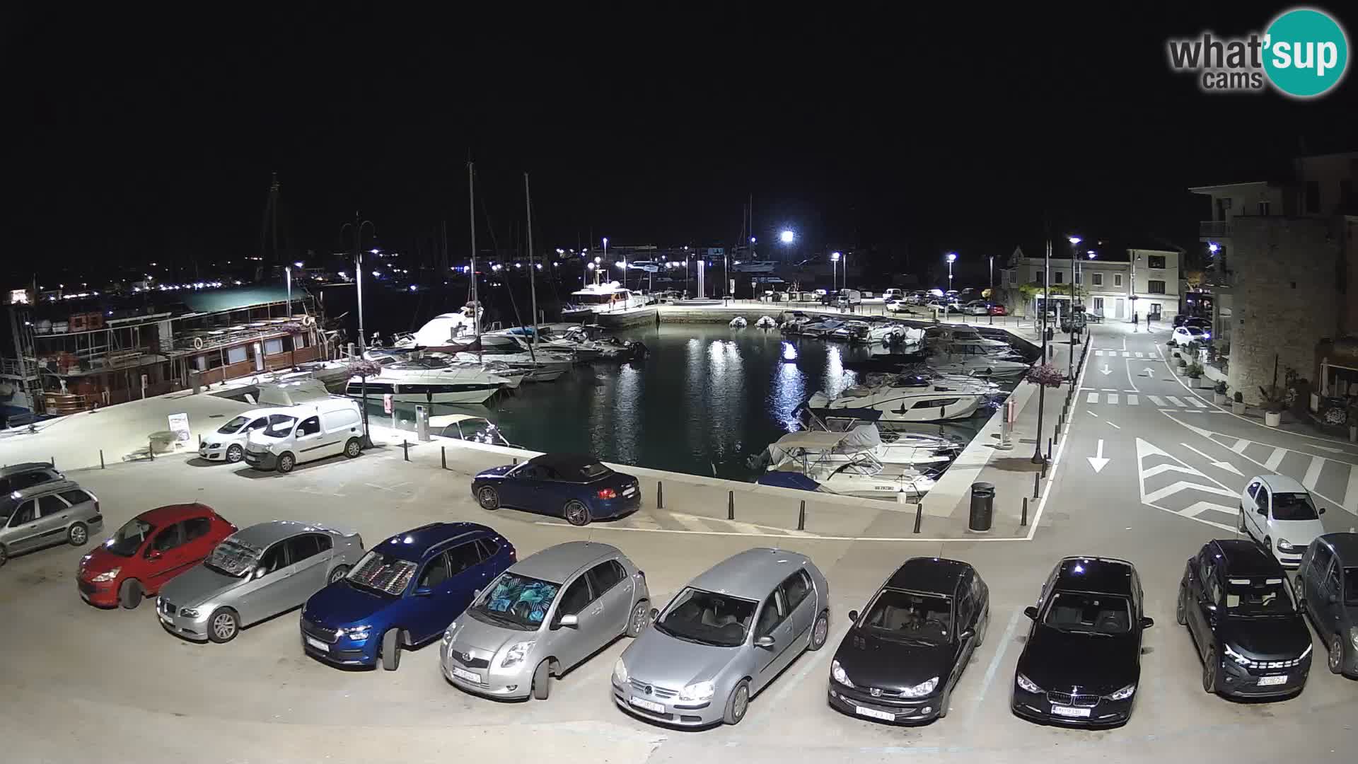 Novigrad | Porporela marina