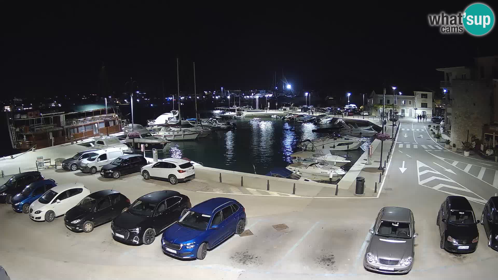 Novigrad | Porporela marina