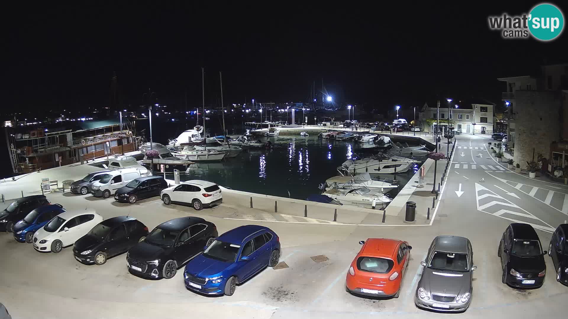 Novigrad | Porporela marina