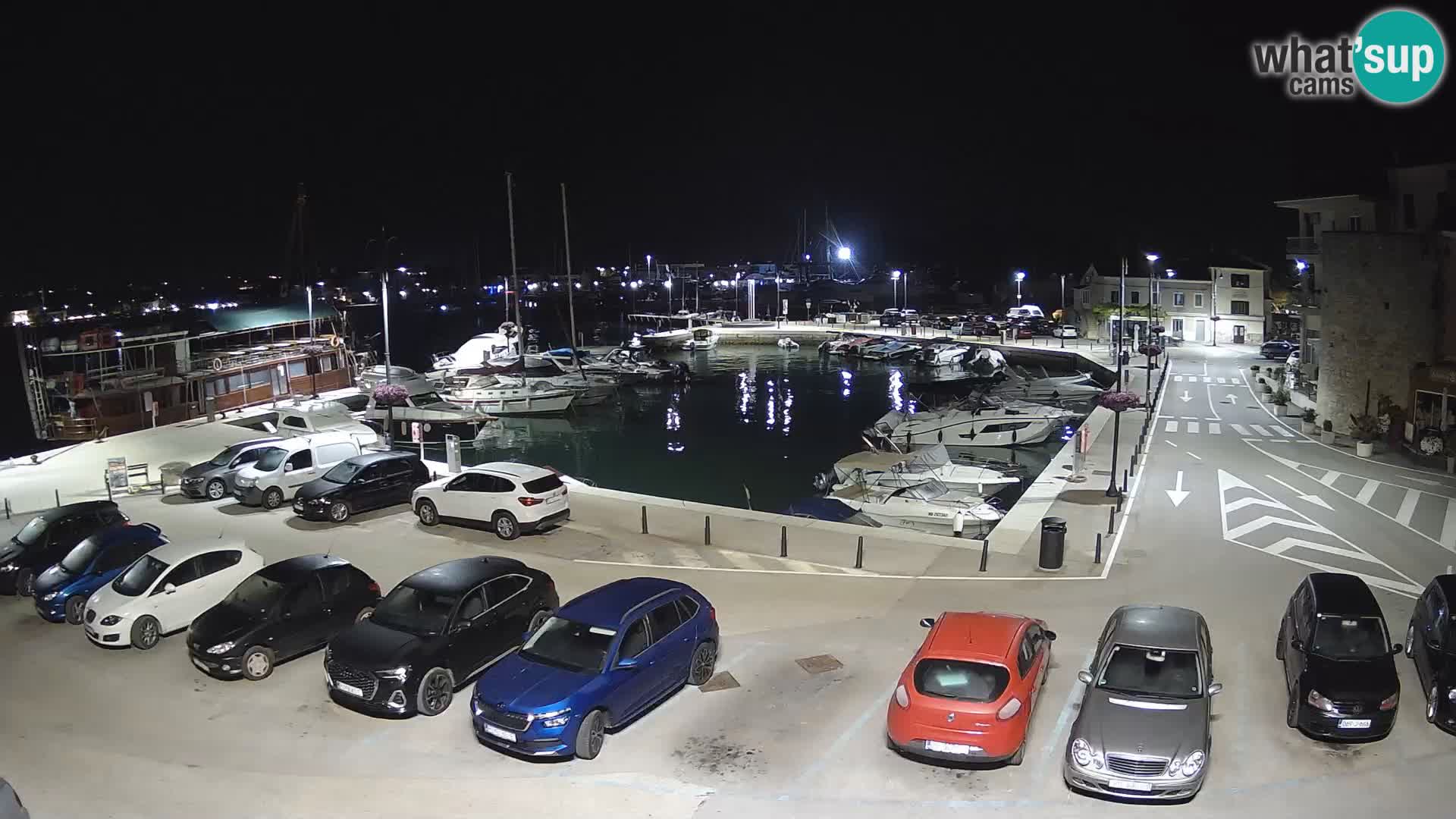 Novigrad | Porporela marina