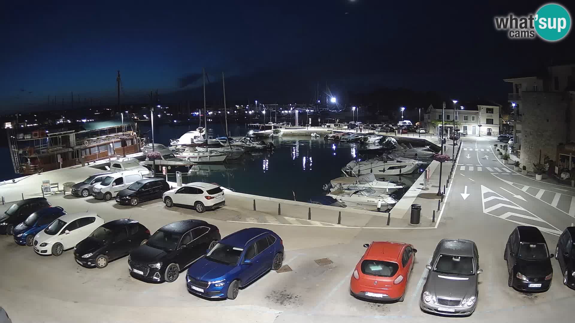Novigrad | Porporela marina