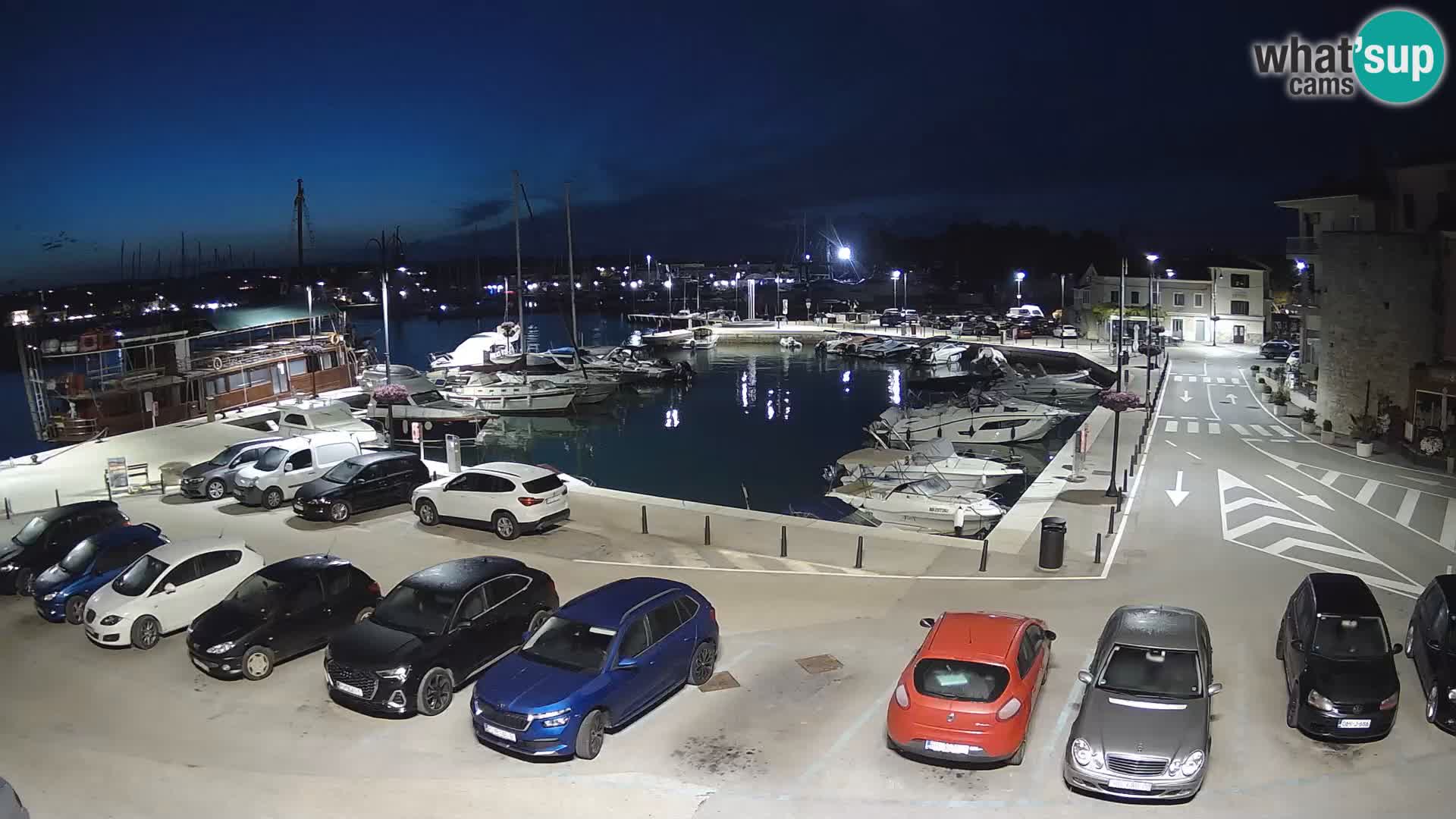 Novigrad | Porporela marina
