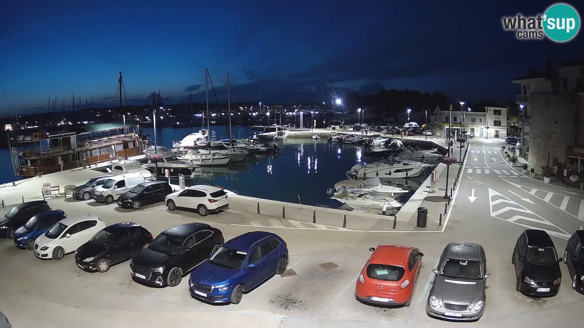 Novigrad | Porporela marina