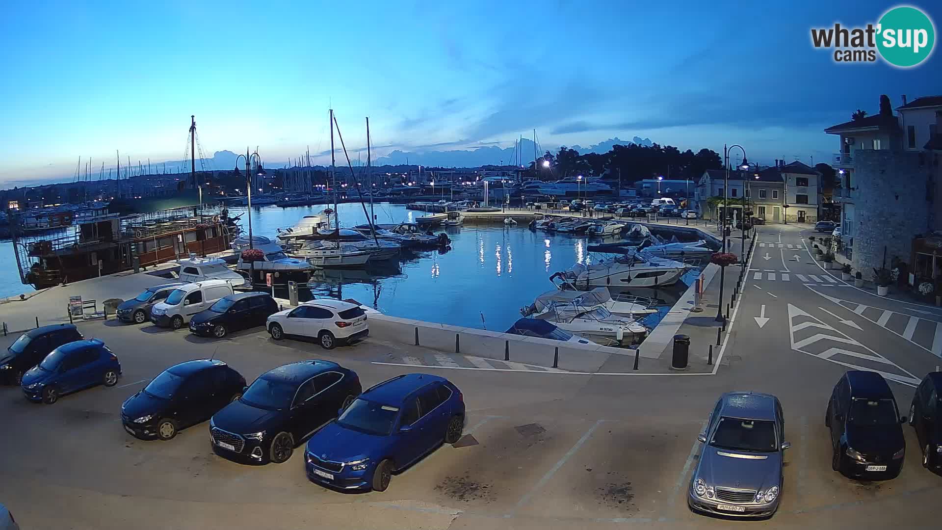 Novigrad | Porporela marina
