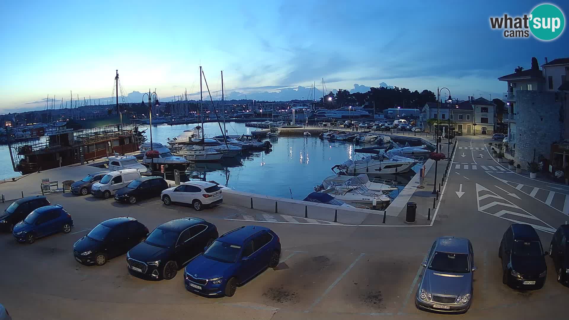 Novigrad | Porporela marina