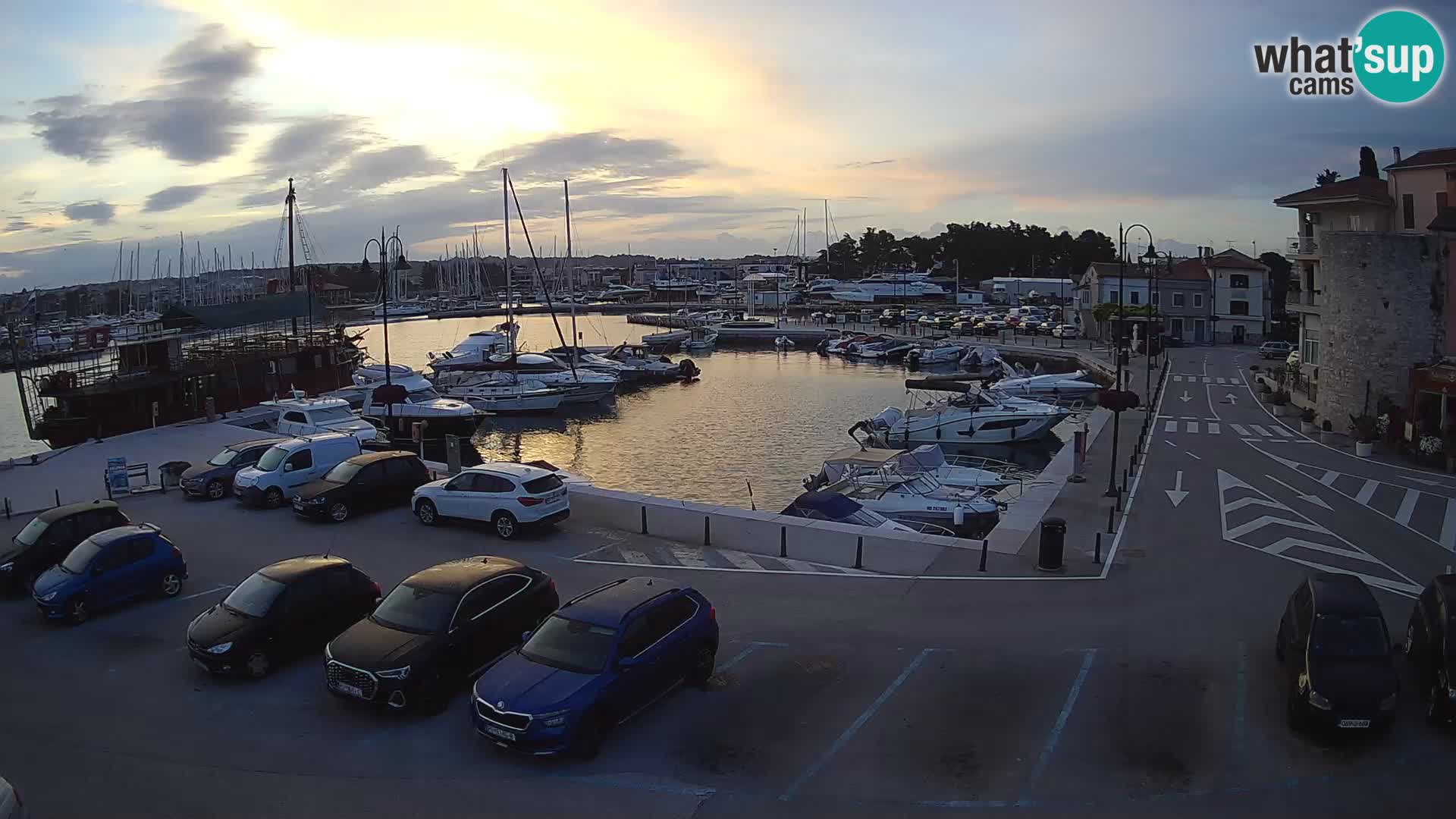 Novigrad | Porporela marina