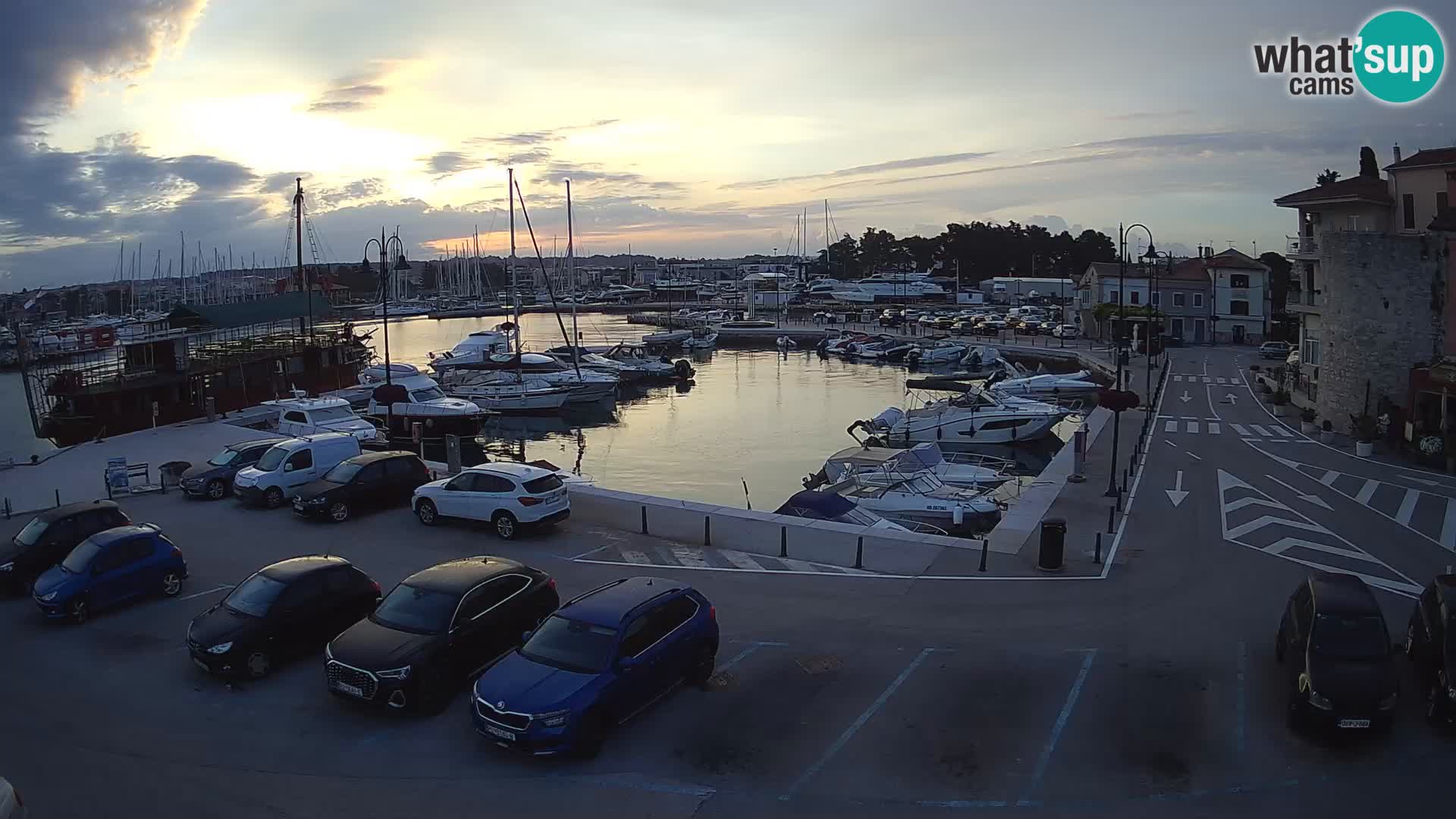 Novigrad | Porporela marina