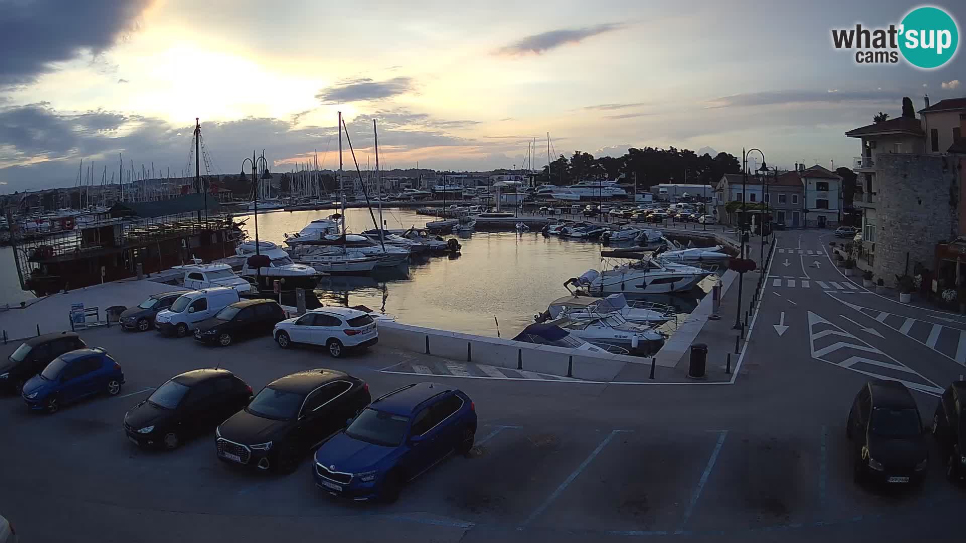 Novigrad | Porporela marina