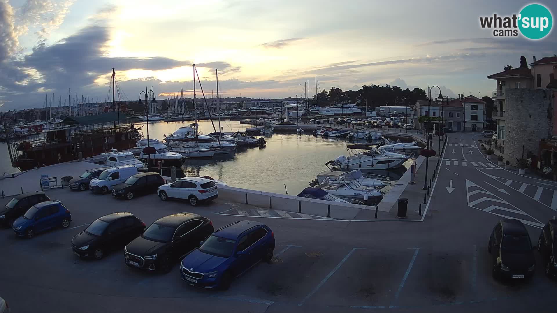 Novigrad | Porporela marina
