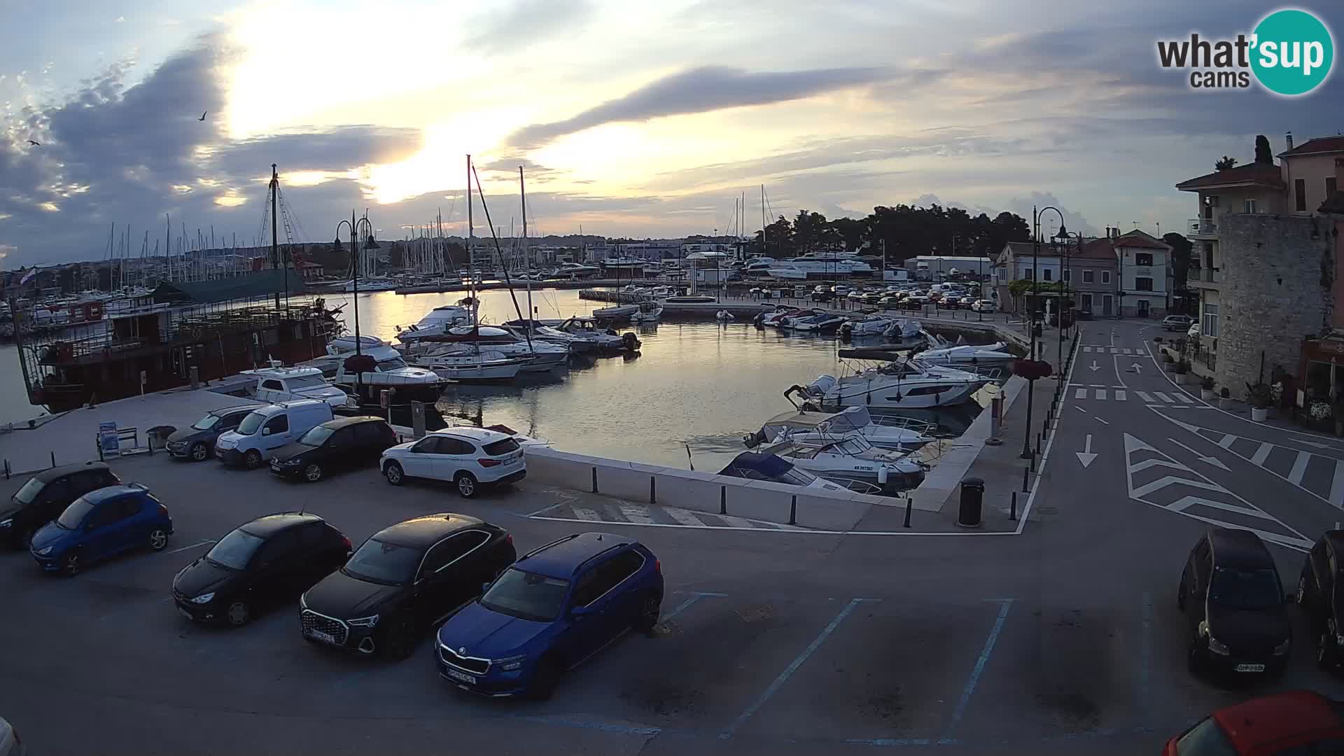 Novigrad | Porporela marina