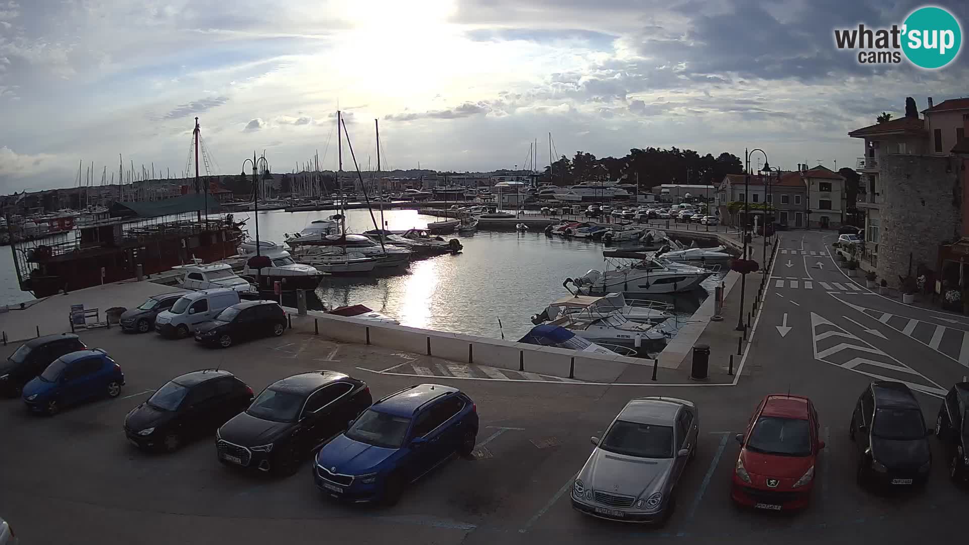 Novigrad | Porporela marina
