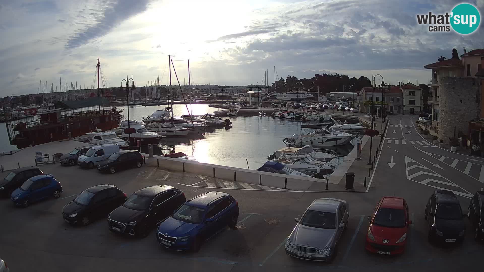 Novigrad | Porporela marina