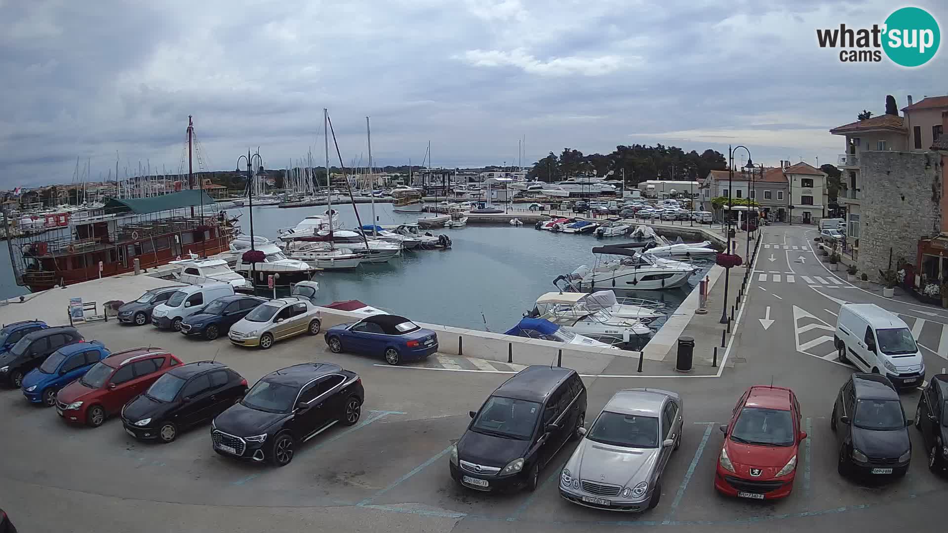 Novigrad | Porporela marina