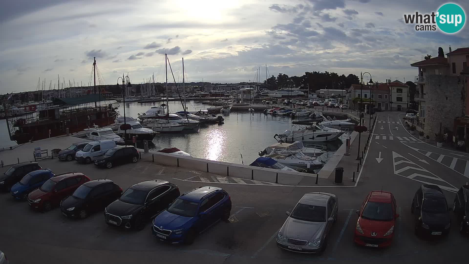 Novigrad | Porporela marina