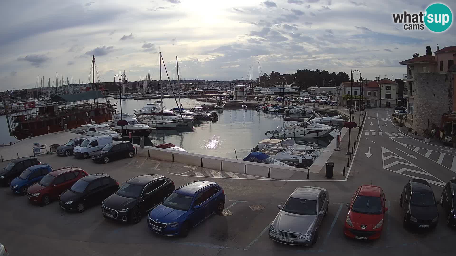 Novigrad | Porporela marina