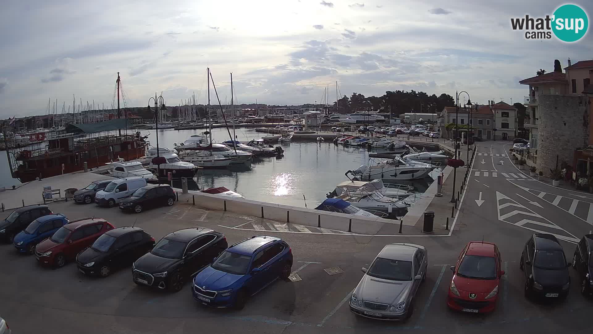 Novigrad | Porporela marina