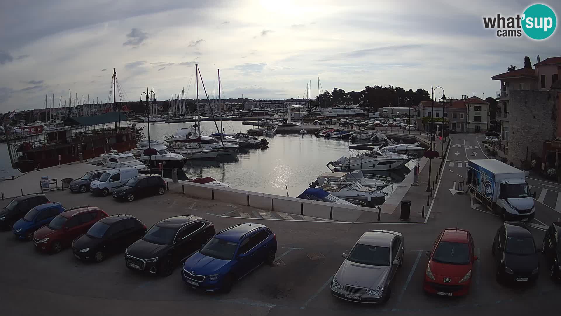 Novigrad | Porporela marina