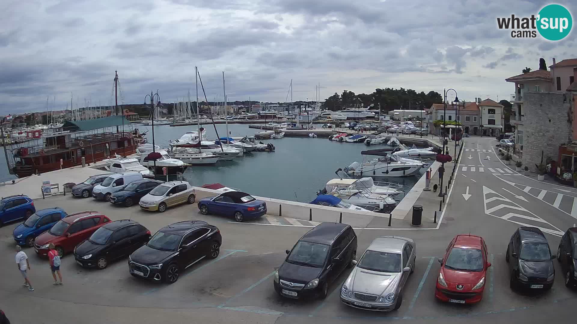Novigrad | Porporela marina