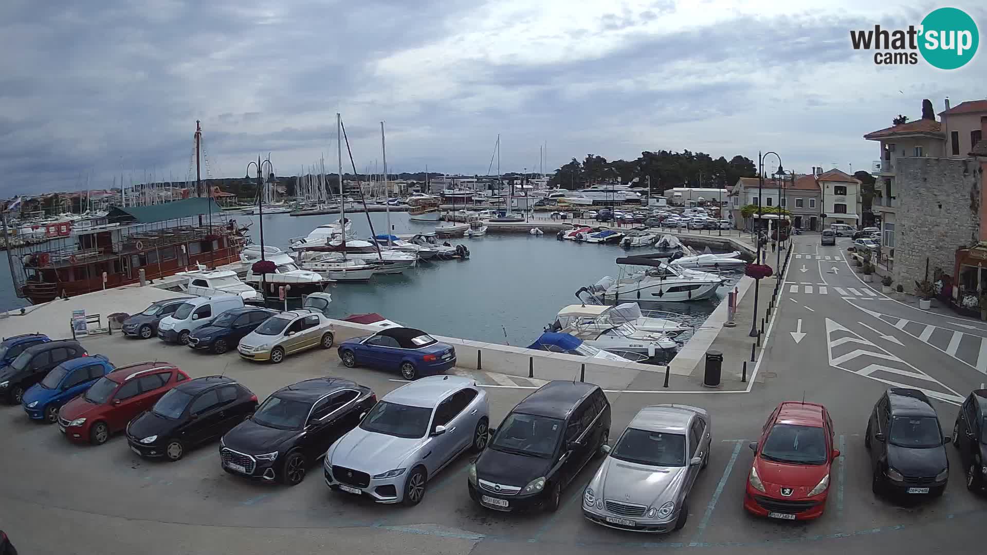 Novigrad | Porporela marina