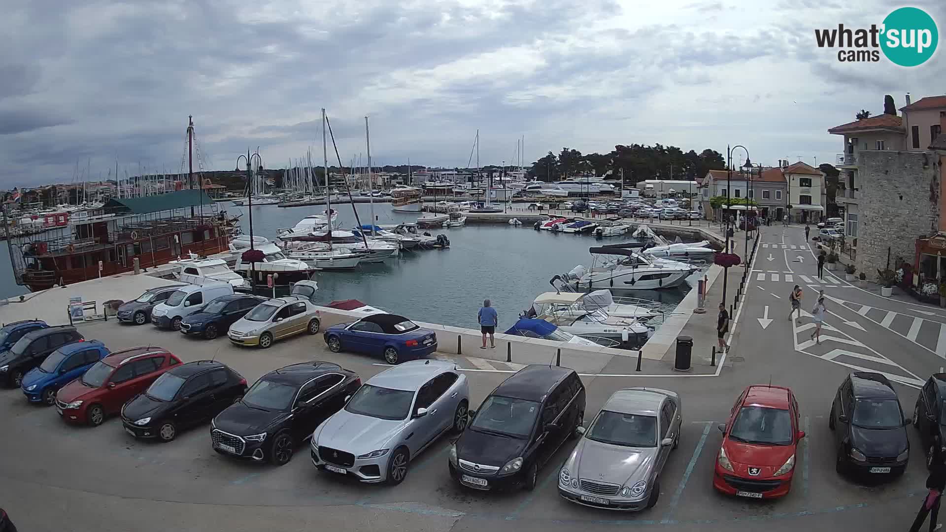 Novigrad | Porporela marina