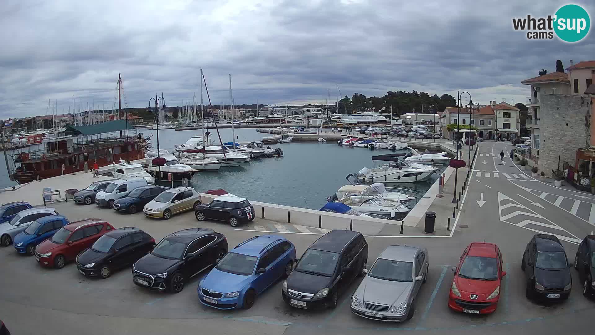 Novigrad | Porporela marina