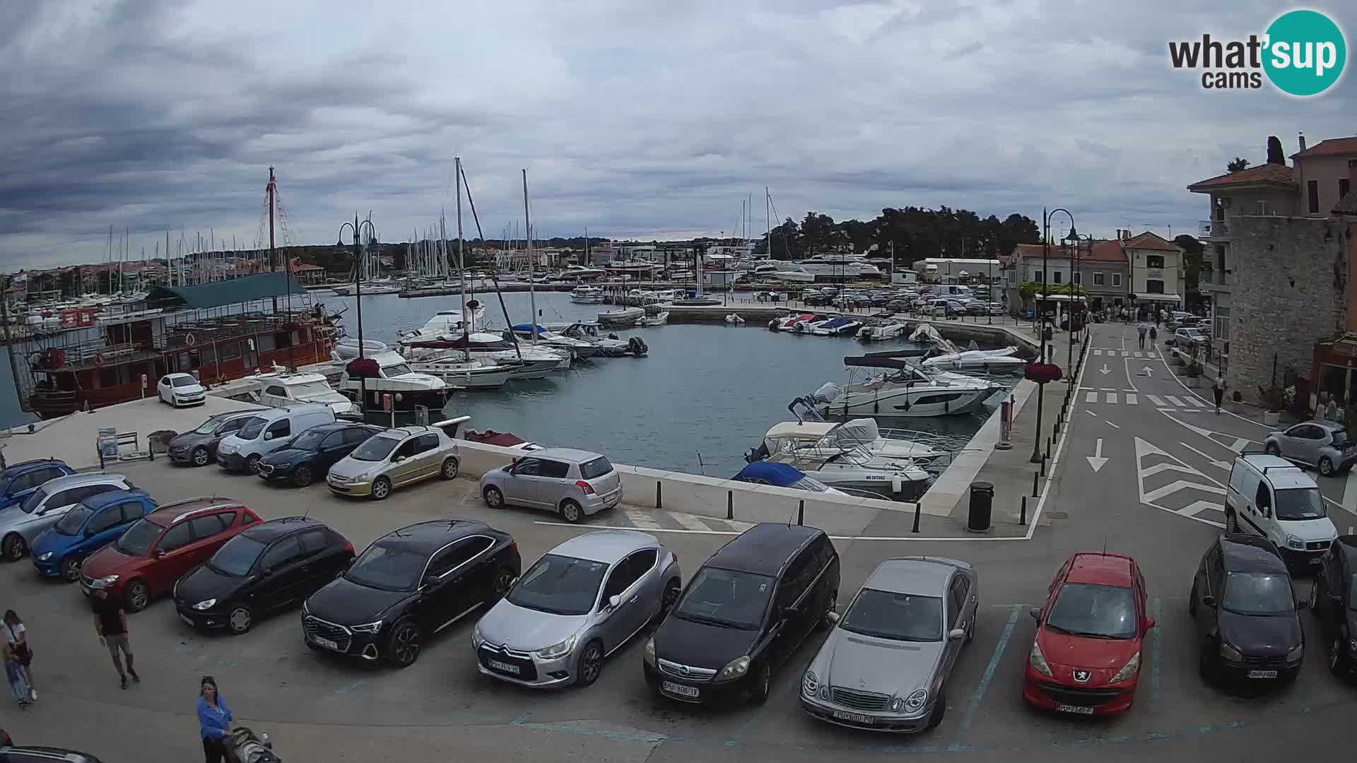Novigrad | Porporela marina