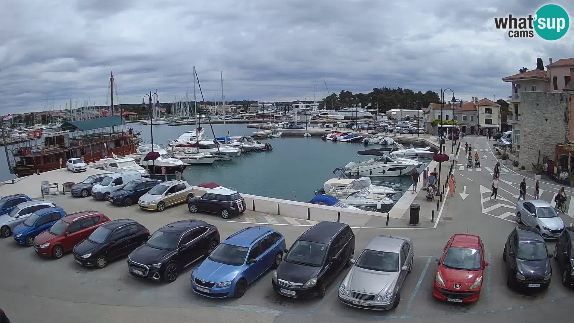 Novigrad | Porporela marina