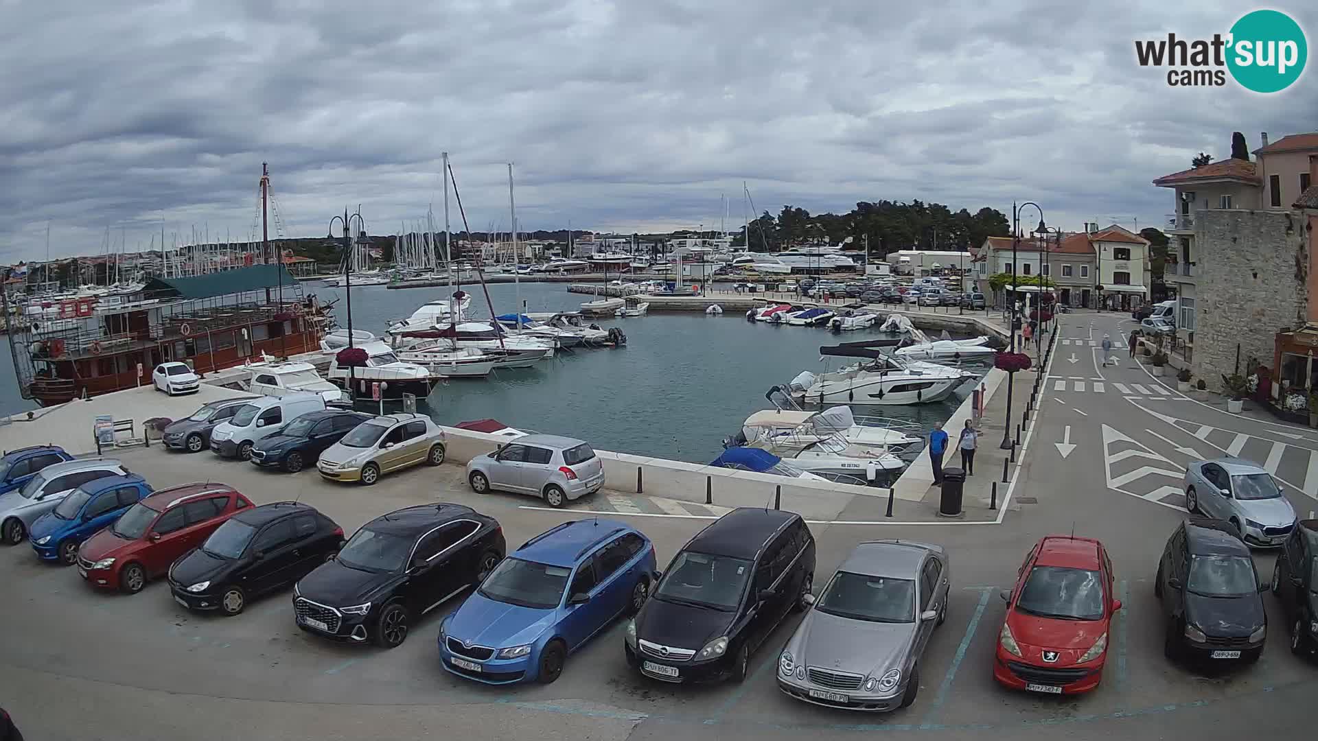 Novigrad | Porporela marina